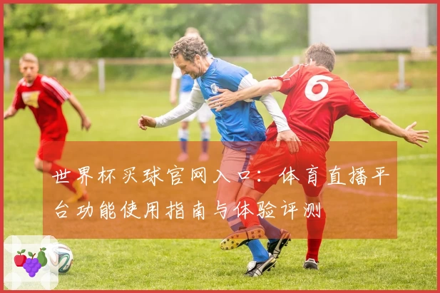世界杯买球官网入口：体育直播平台功能使用指南与体验评测