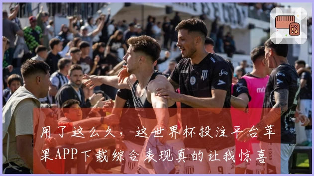 用了这么久，这世界杯投注平台苹果APP下载综合表现真的让我惊喜