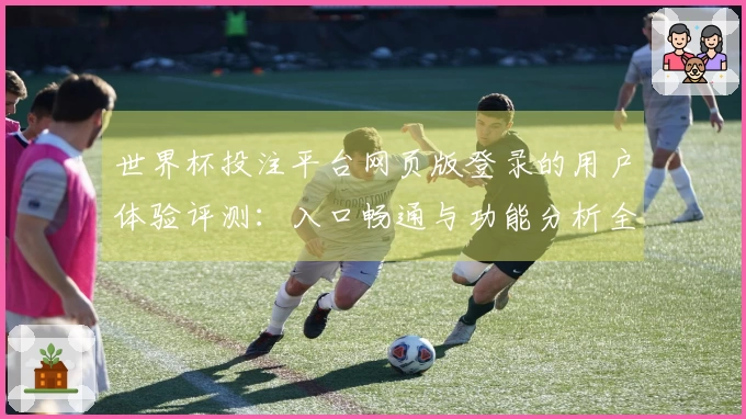 世界杯投注平台网页版登录的用户体验评测：入口畅通与功能分析全解析